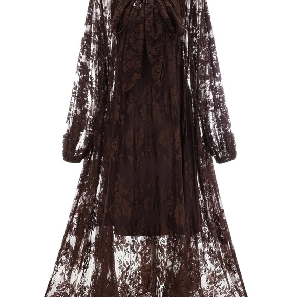 Sincere Catharine Sheer Brown Lace Maxi Dress - Picture 3 of 5